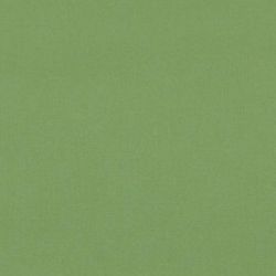 SU-4685 Ginko Sunbrella Marina SU-4685 Ginko Sunbrella Marina