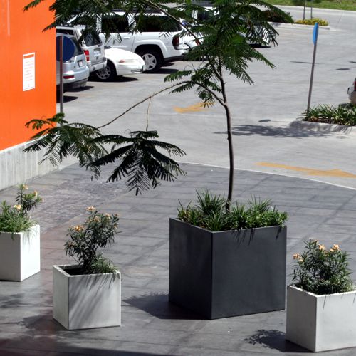 Dados de colores como macetas de arboles